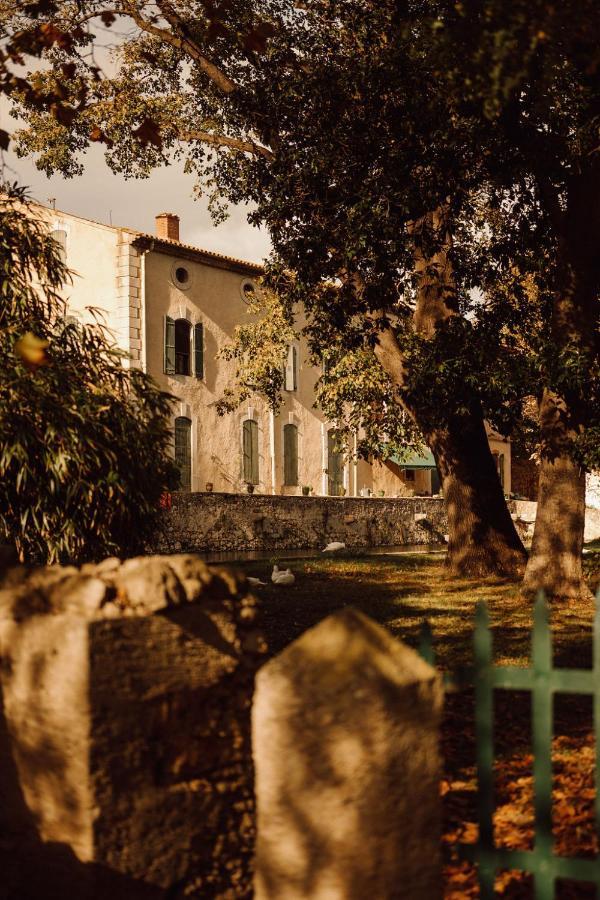 Gite Superbe L'Ecurie Xixeme Sallèles-dʼAude Kültér fotó
